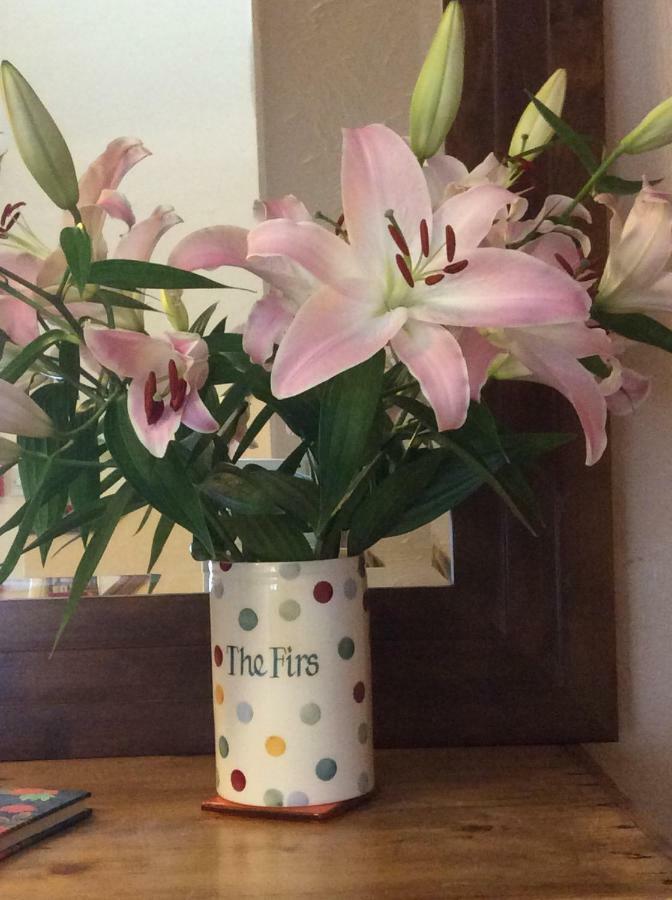 The Firs At Hay-On-Wye B&B エクステリア 写真