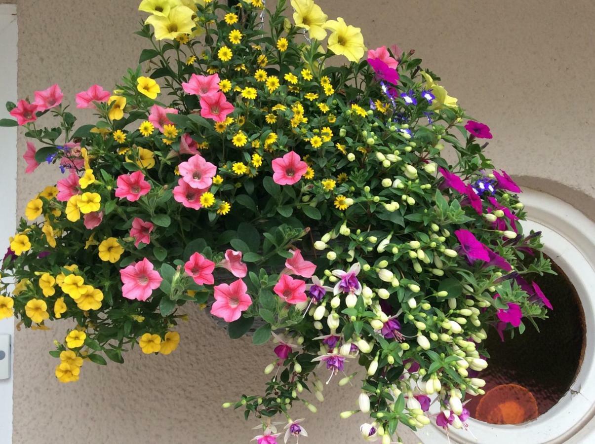 The Firs At Hay-On-Wye B&B エクステリア 写真